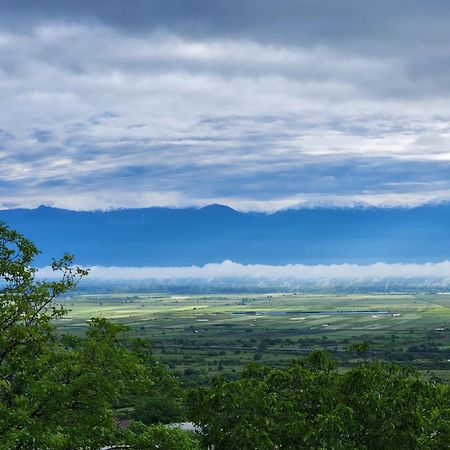 Kardanakhi Estate Guest House Anaga Ngoại thất bức ảnh